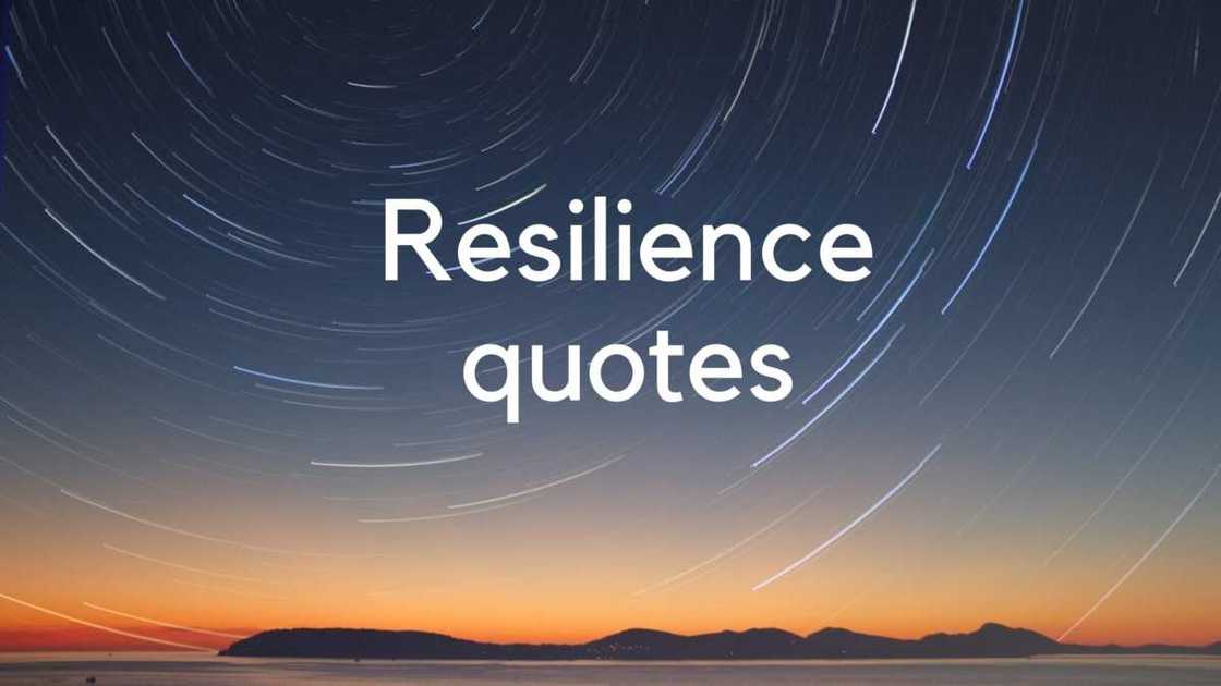resilience quotes resilience quotes