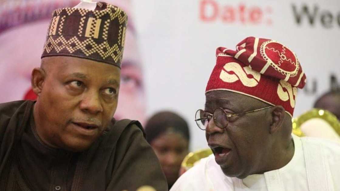 Nasarawa state university/Bola Tinubu gaffe/2023 presidential election