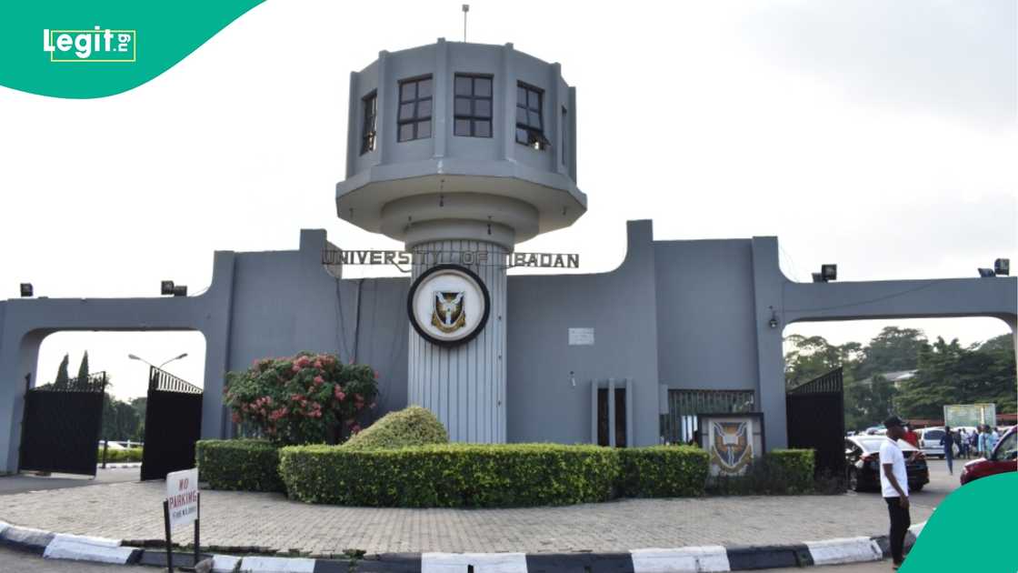 Three University of Ibadan engineering graduates earn first-class degrees, record outstanding CGPAs, top faculty ranks, and attract awards. Three University of Ibadan engineering graduates earn first-class degrees, record outstanding CGPAs, top faculty ranks, and attract awards.