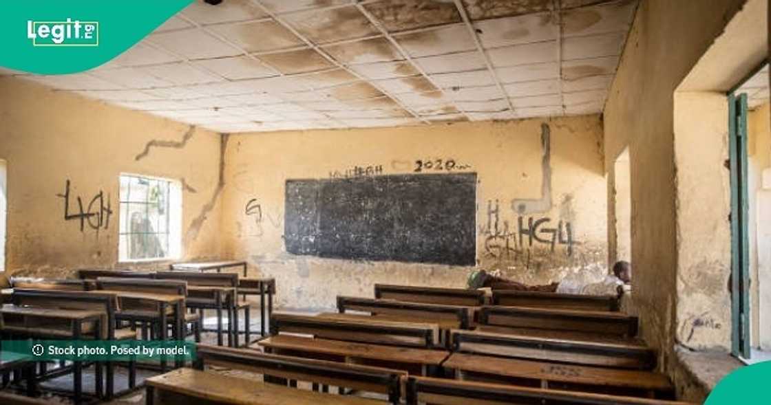 Lady expresses concern over a teacher's brutal remark on a primary school pupil's exam script.
