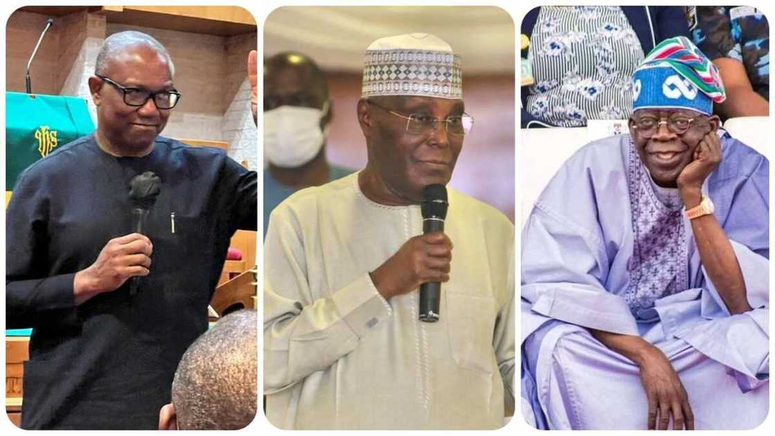 Bola Tinubu, Atiku Abubakar, Peter Obi