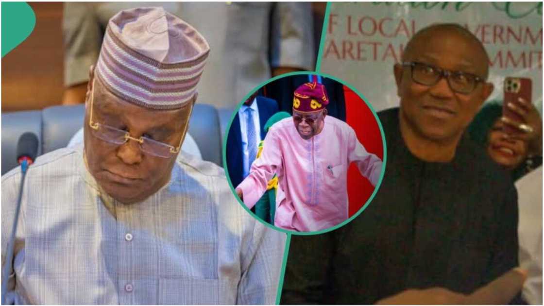 Atiku Abubakar/Peter Obi/Bola Tinubu/APC/PDP/Labour Party/2023 Presidential Election/Presidential Election Judgment Atiku Abubakar/Peter Obi/Bola Tinubu/APC/PDP/Labour Party/2023 Presidential Election/Presidential Election Judgment
