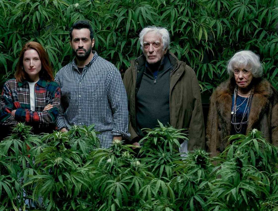 Pas de saison 4 pour la série Family Business : voici pourquoi Pas de saison 4 pour la série Family Business : voici pourquoi