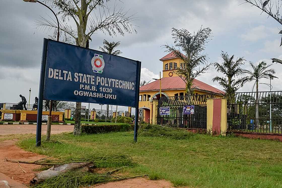 Delta State Polytechnic Ongwashi-UKU signpost outside the polytechnic