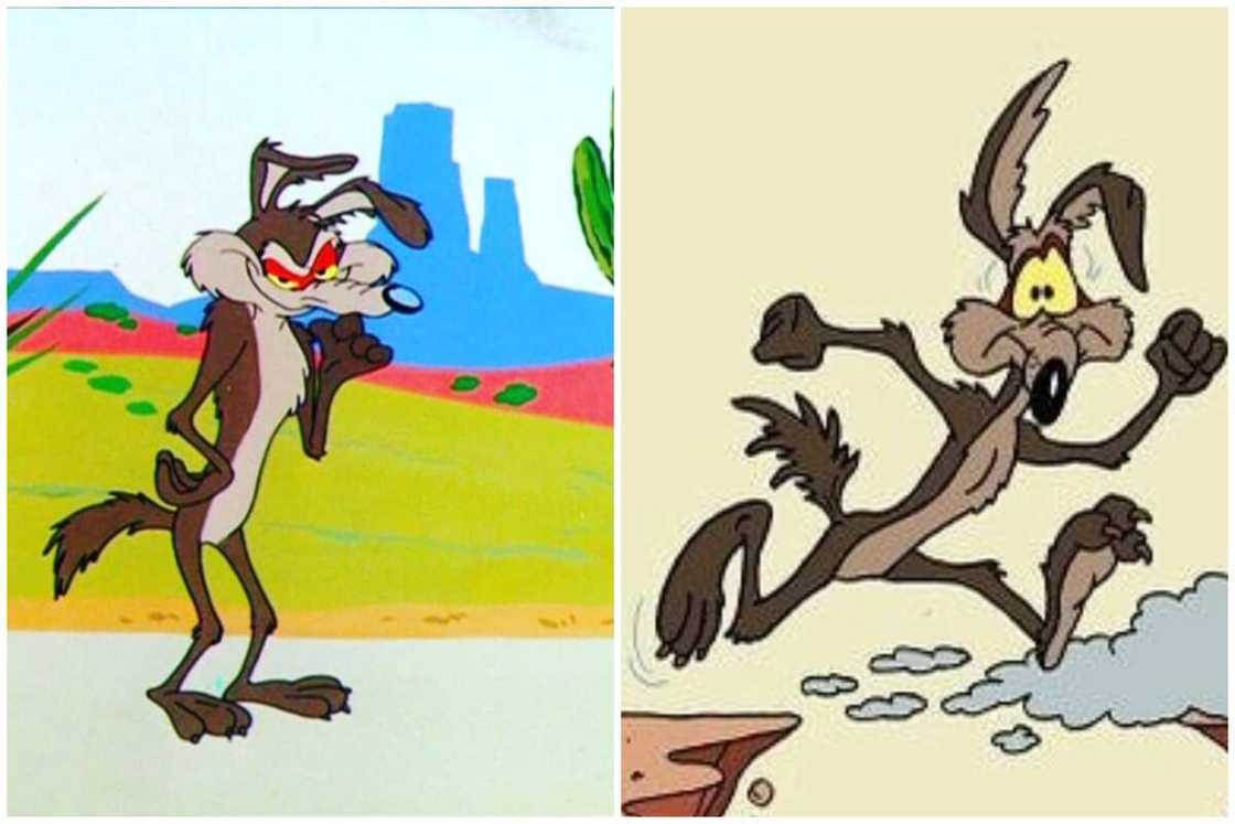 fun cartoon characters fun cartoon characters