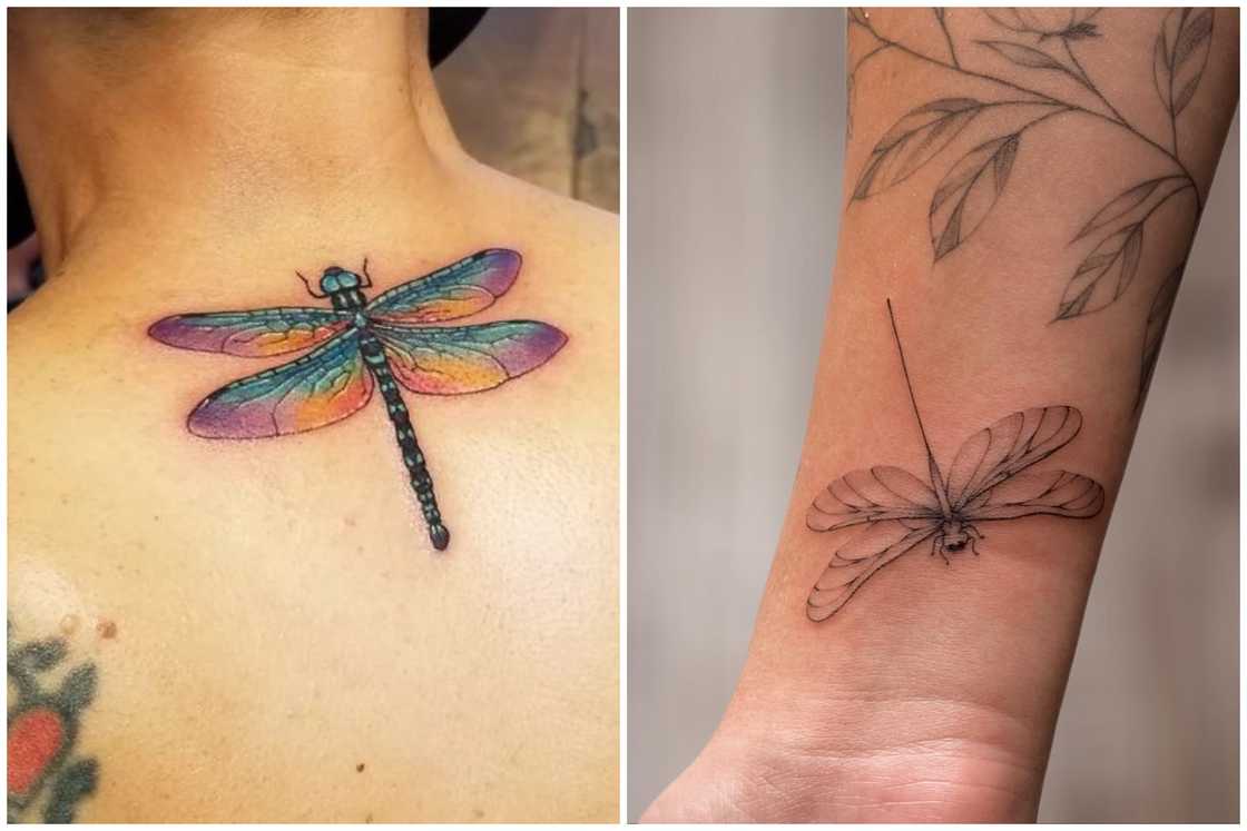 Dragonfly tattoo