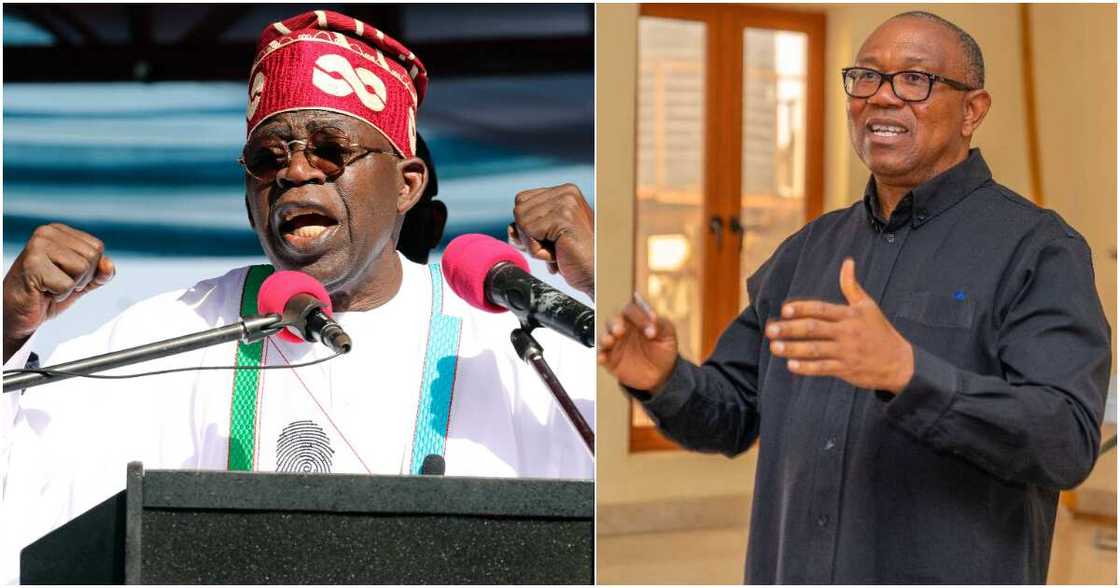 Razaq Abubakre, Bola Tinubu, APC, LP, Peter Obi, 2023 presidential election