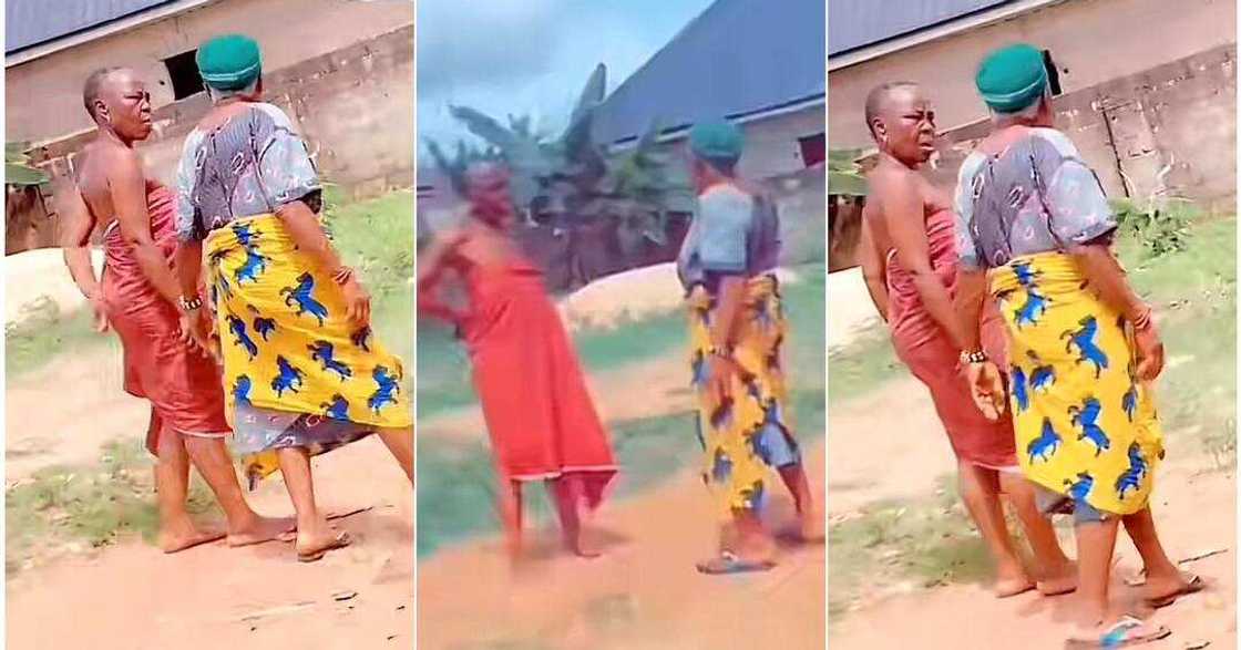 2 old women enjoy sweet gist on the road 2 old women enjoy sweet gist on the road