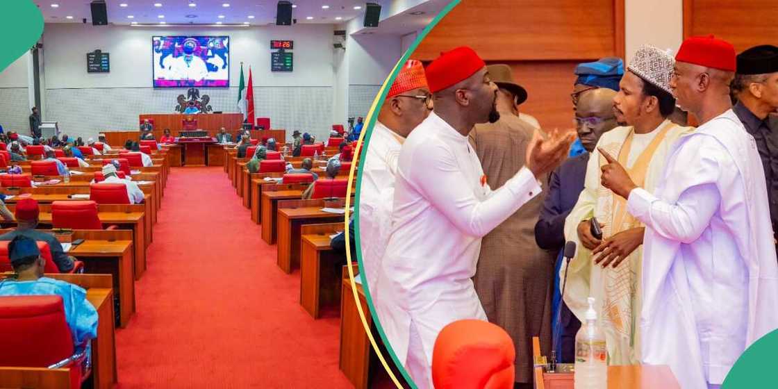 Senators went berserk at the red chamber over the budget padding allegations Senators went berserk at the red chamber over the budget padding allegations