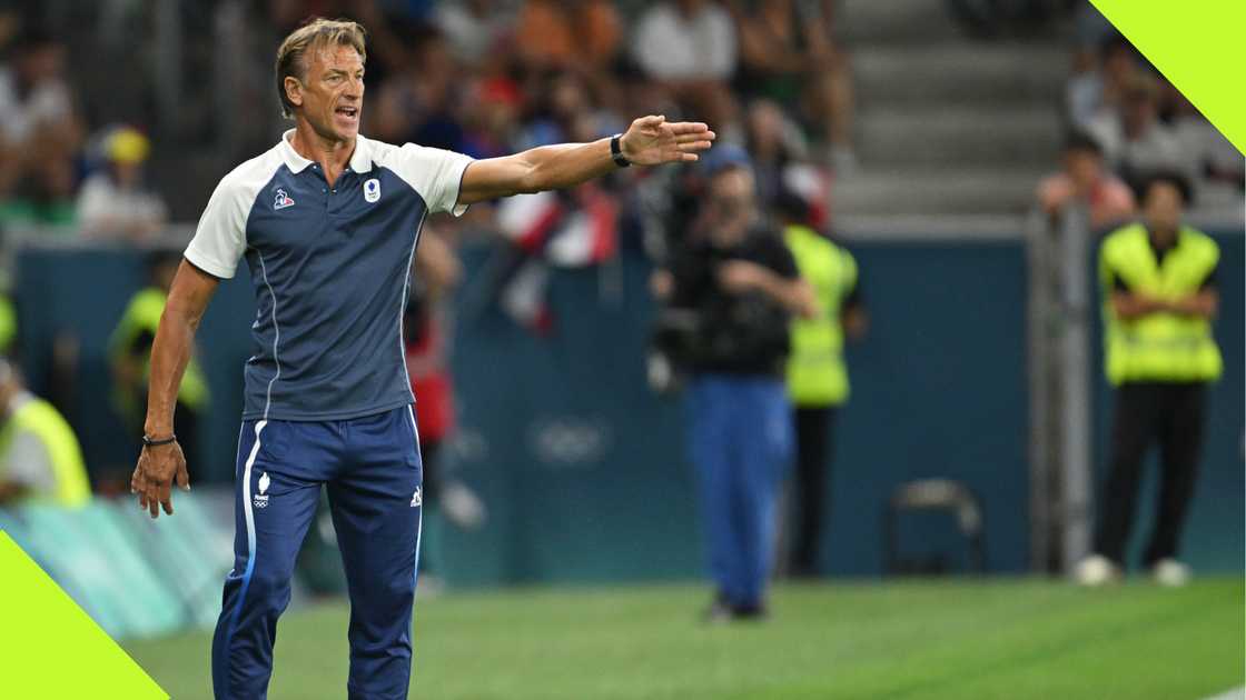 Herve Renard walks away from NFF offer Herve Renard walks away from NFF offer