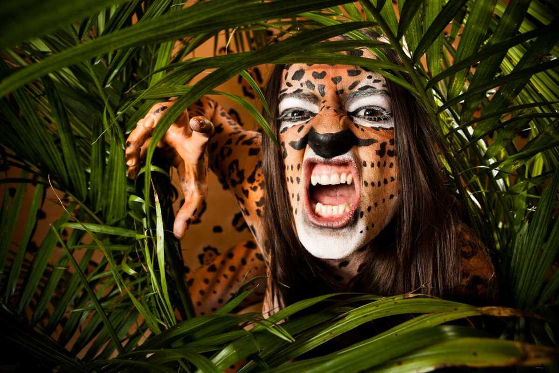 Jaguar woman growling in jungle leaves Jaguar woman growling in jungle leaves