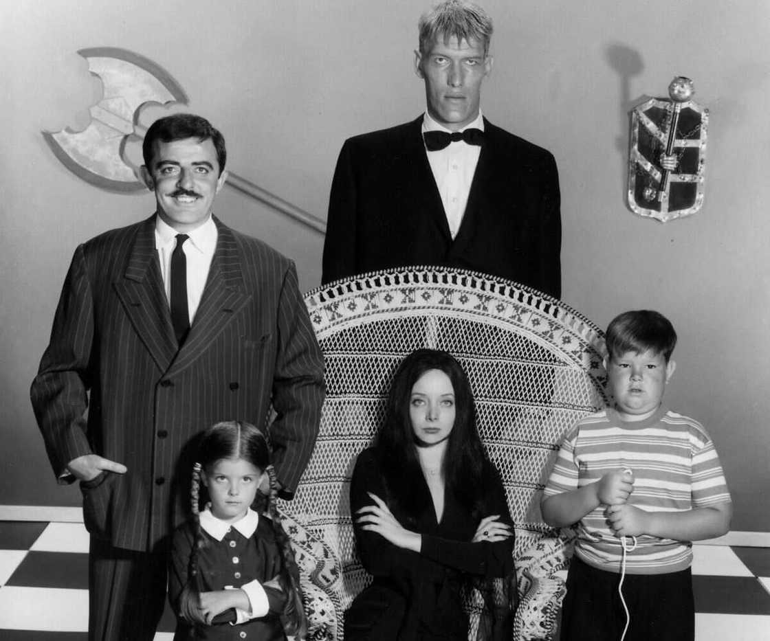 John Astin age John Astin age