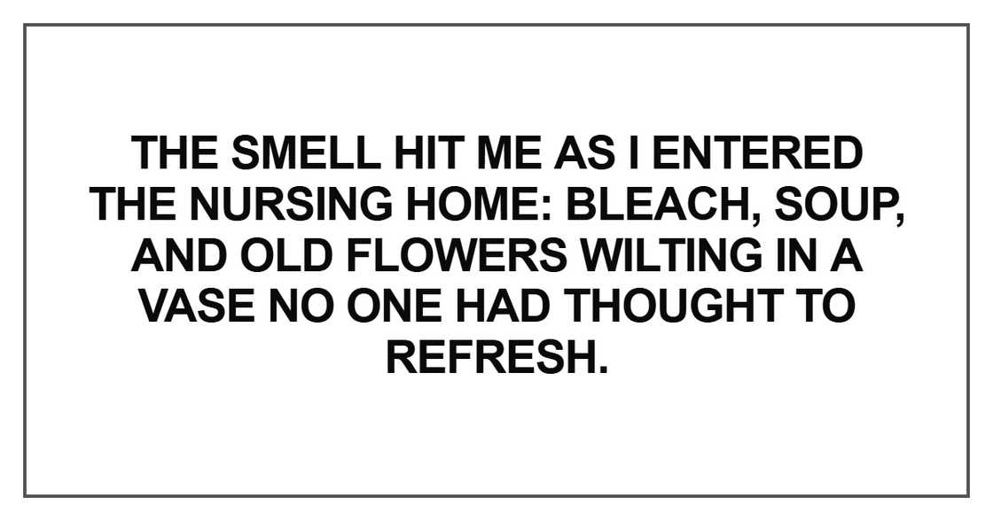 The smell hit me as I entered the nursing home The smell hit me as I entered the nursing home