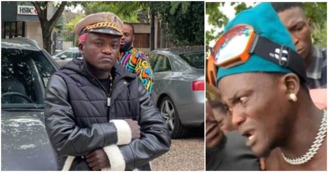 Portable Zazu, US, international promoter Portable Zazu, US, international promoter