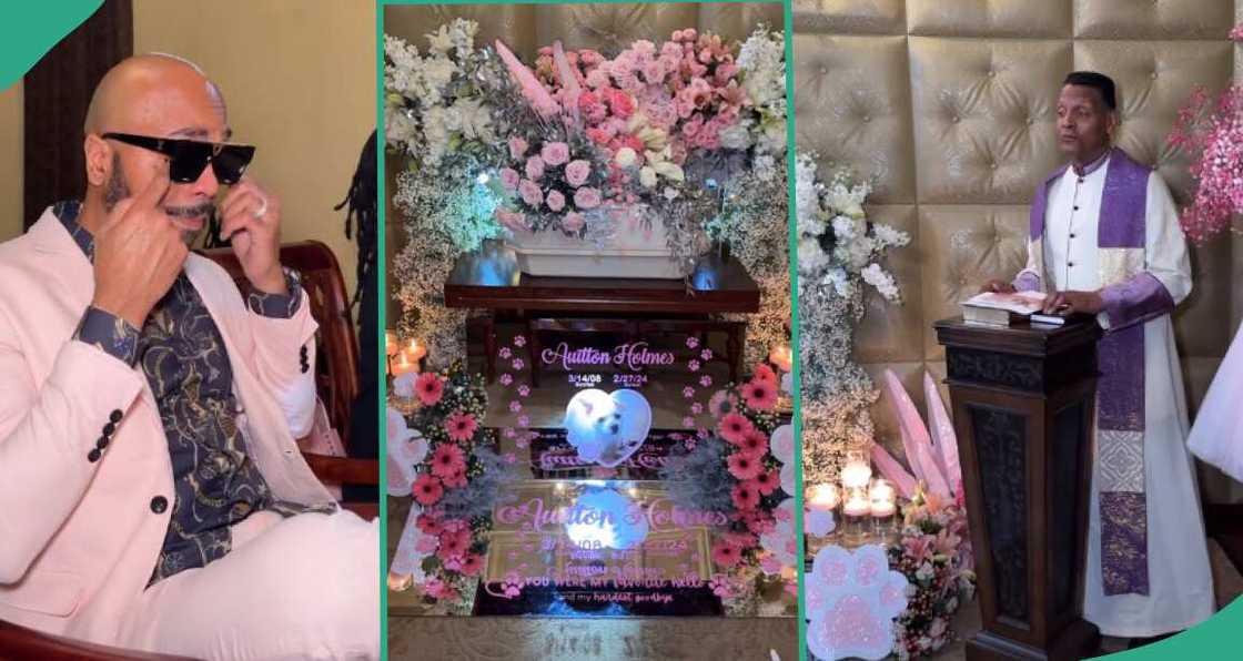 Tears as man holds burial for his puppy who died at 16, invites guests and priest Tears as man holds burial for his puppy who died at 16, invites guests and priest
