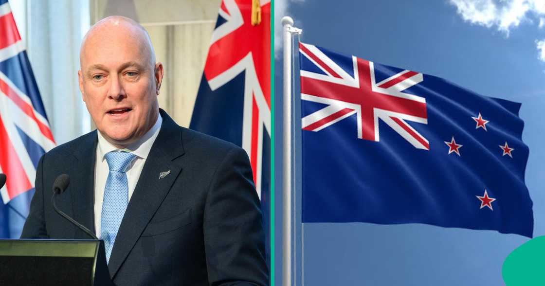 New Zealand shares how many hours a foreigner can work on student visa. New Zealand shares how many hours a foreigner can work on student visa.