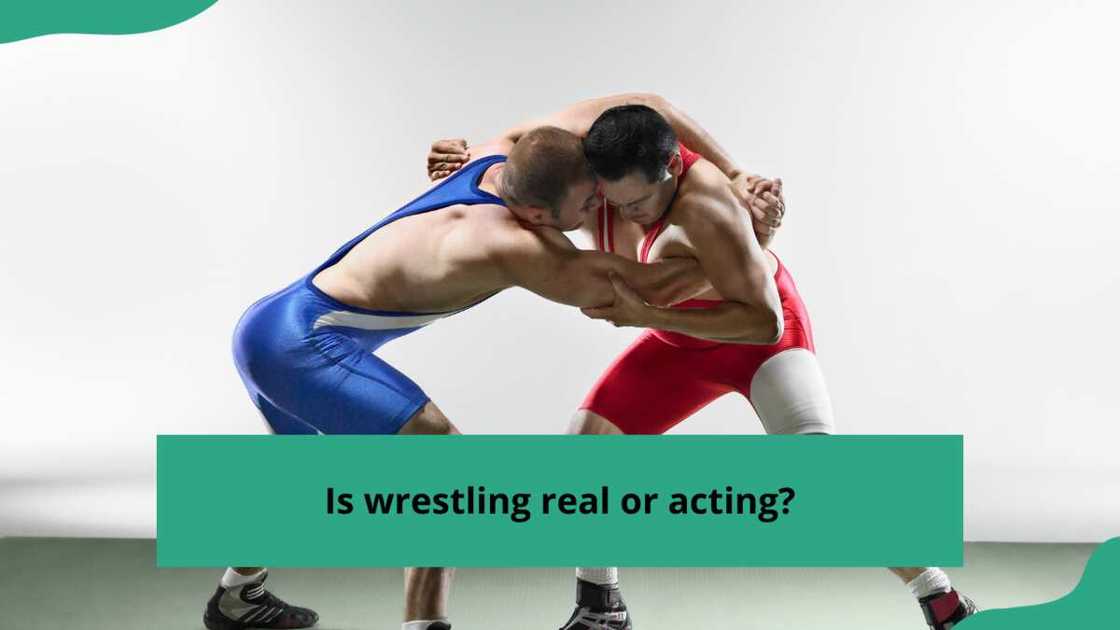 is wrestling real is wrestling real