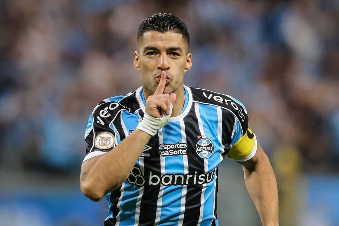 Luis Suárez celebrates after scoring the first goal of his team during the match between Gremio and Vasco Da Gama Luis Suárez celebrates after scoring the first goal of his team during the match between Gremio and Vasco Da Gama