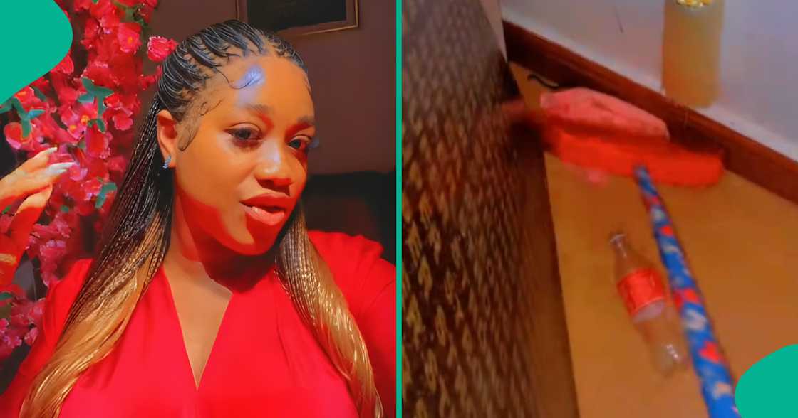 Mum scared after mistaking her child's toy for a snake Mum scared after mistaking her child's toy for a snake