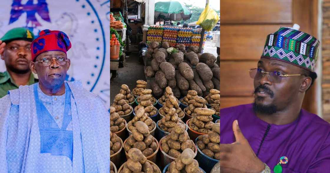 Tinubu, Ladigbolu, food security Tinubu, Ladigbolu, food security