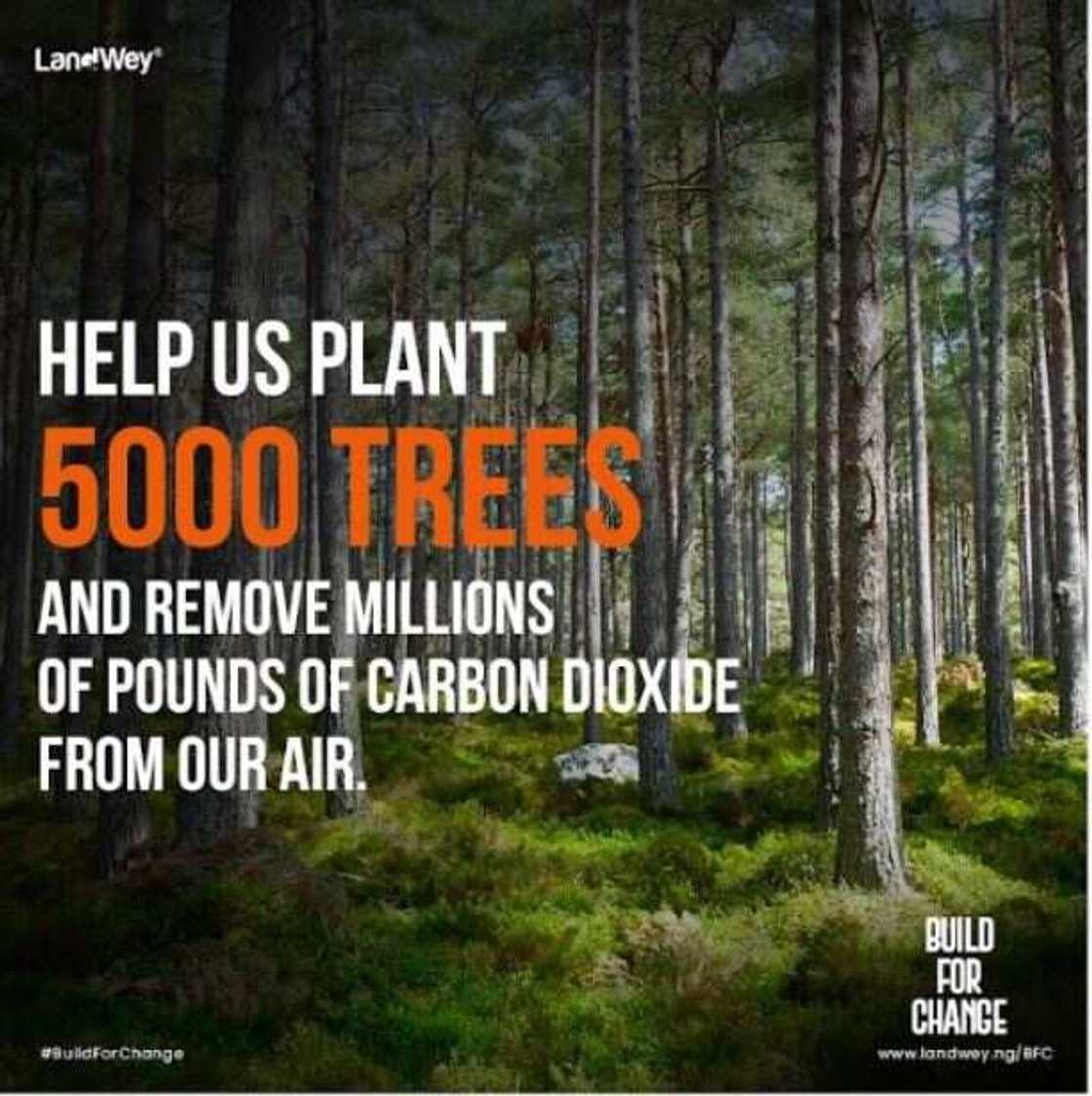 LandWey’s Social Impact Initiative Set to Protect the Environment and Combat Climate Change