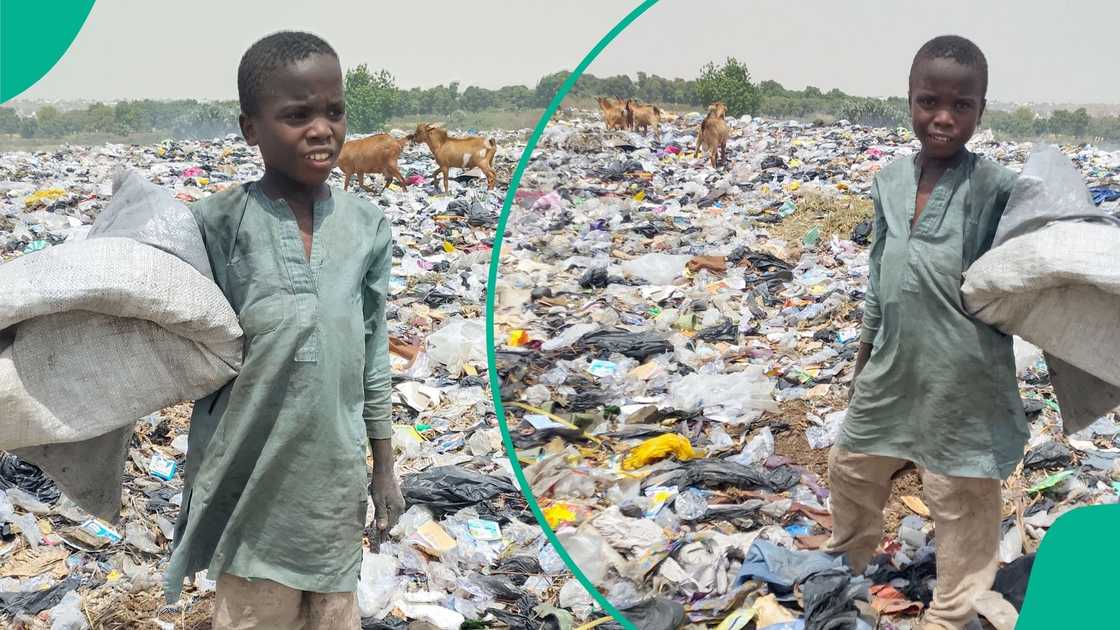 Adamawa children picking waste barefoot amid environmental hardship and poverty