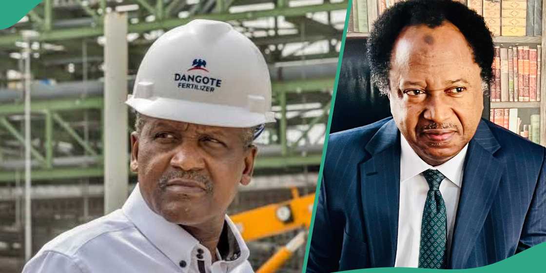 Shehu Sani reacts as Dangote stops plan to invest in major Nigerian industry/Monopoly/Aliko Dangote/Dangote/Dangote Refinery