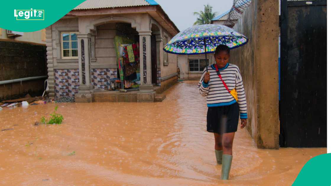 FG predicts 5-day heavy rainfall across 15 states FG predicts 5-day heavy rainfall across 15 states