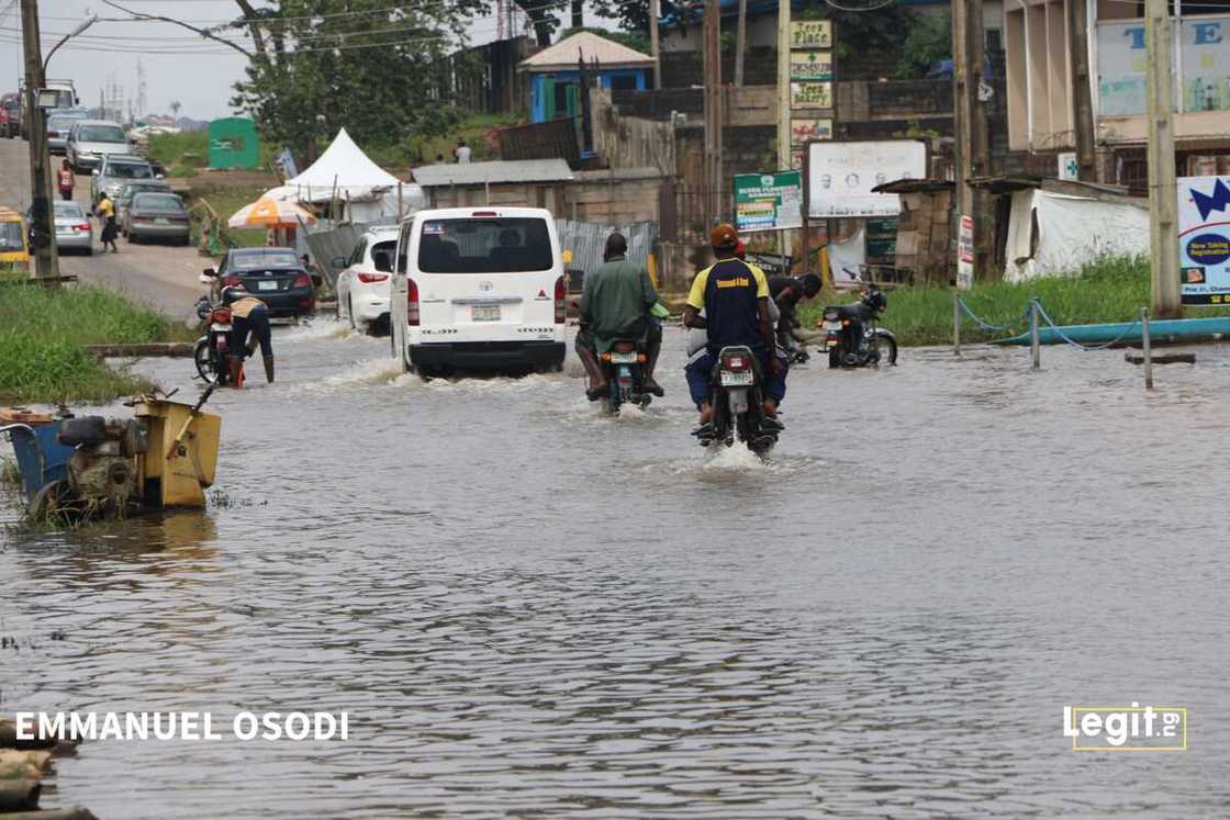 Crocodiles, wild animals invade Ogun community Crocodiles, wild animals invade Ogun community