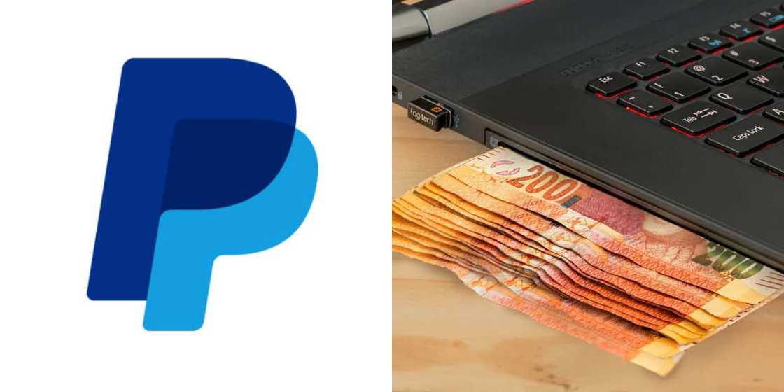 PayPal chargeback PayPal chargeback