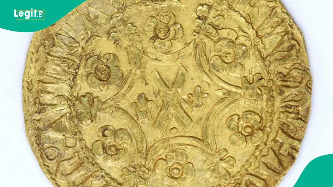 The coins discovered by the metal detectorists are 30 in number. The coins discovered by the metal detectorists are 30 in number.