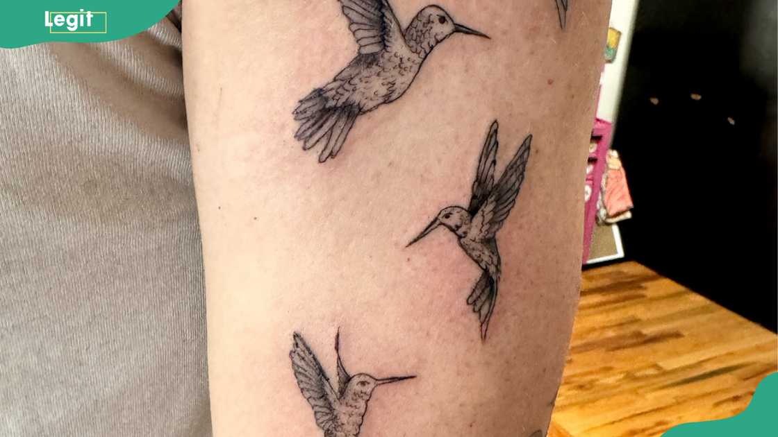 Flock of hummingbirds tattoo Flock of hummingbirds tattoo