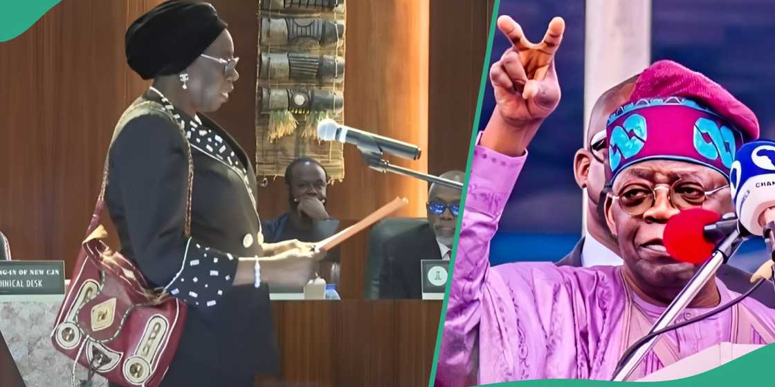 Reactions have trailed Seyi Tinubu's appearance at Kekere-Ekun's swearing-in Reactions have trailed Seyi Tinubu's appearance at Kekere-Ekun's swearing-in
