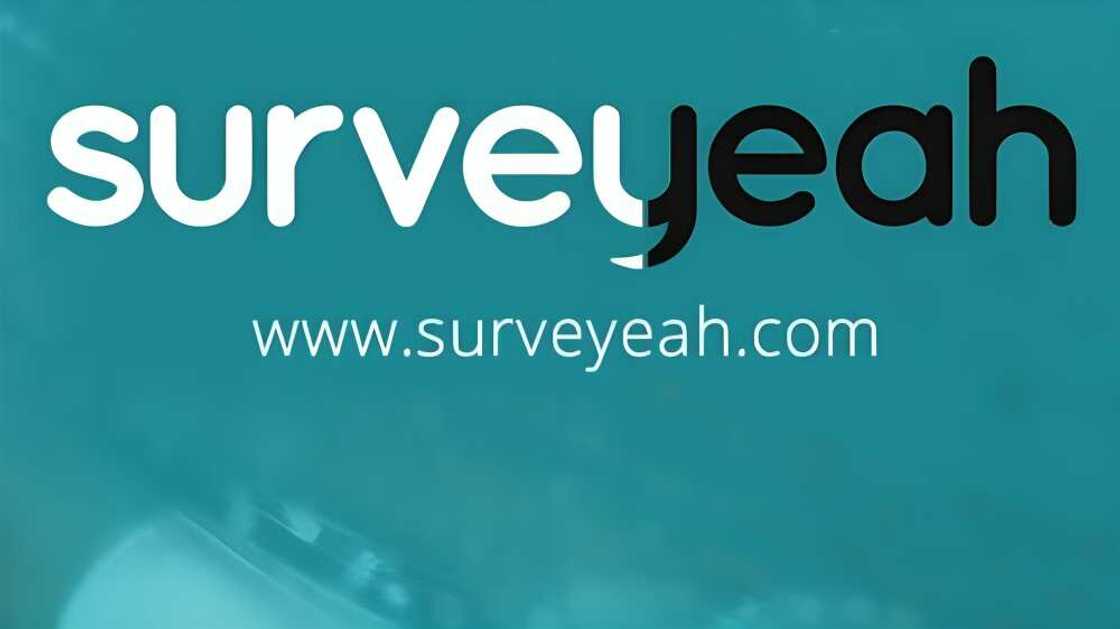 online jobs that pay online jobs that pay