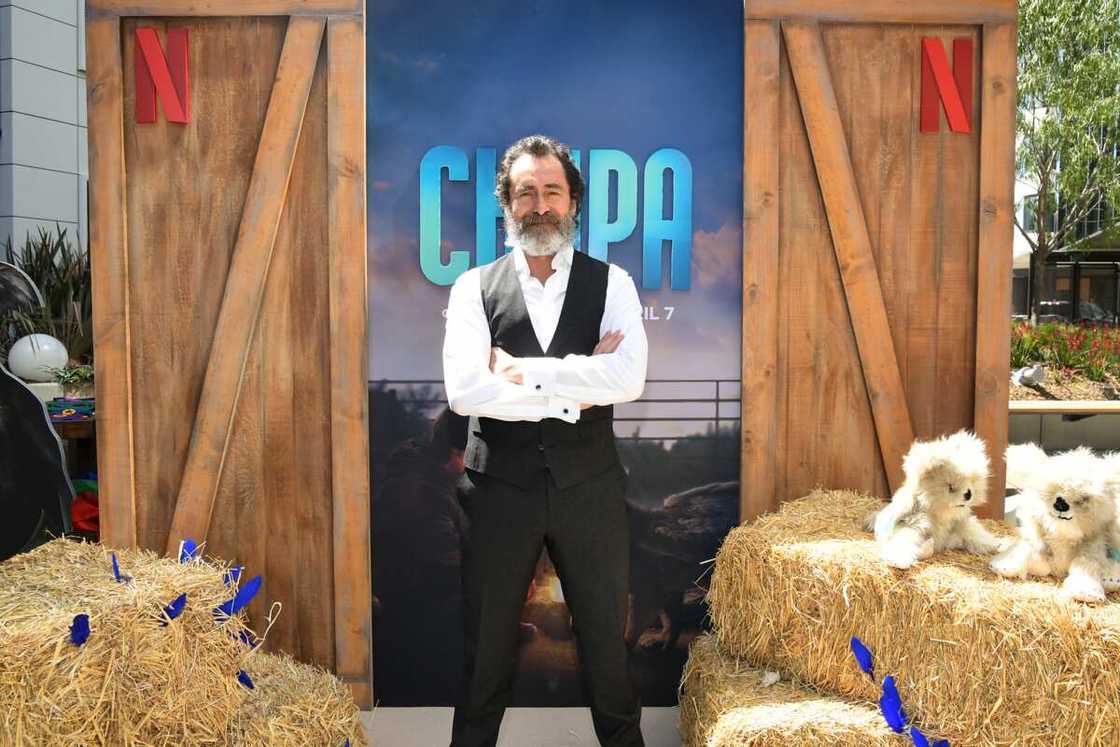 famous actors from mexico famous actors from mexico