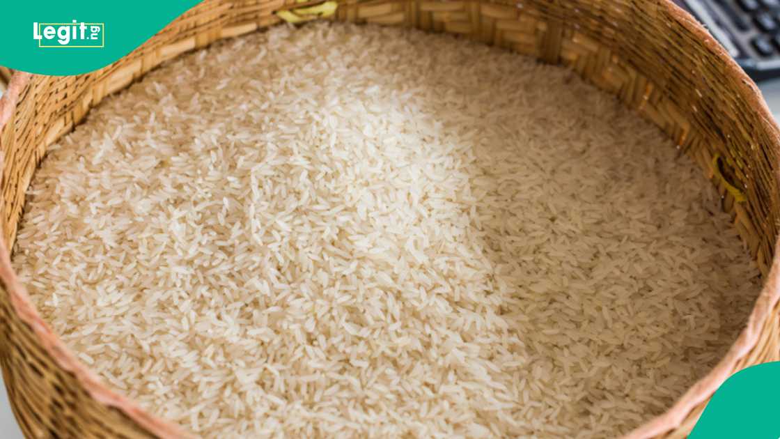 Nigeria’s Customs Seizes N352 Million Worth of Smuggled Goods Nigeria’s Customs Seizes N352 Million Worth of Smuggled Goods