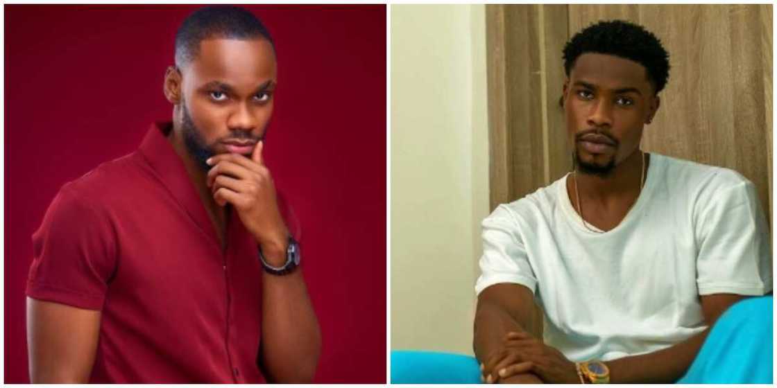 Photos of Prince and Neo. Photos of Prince and Neo.