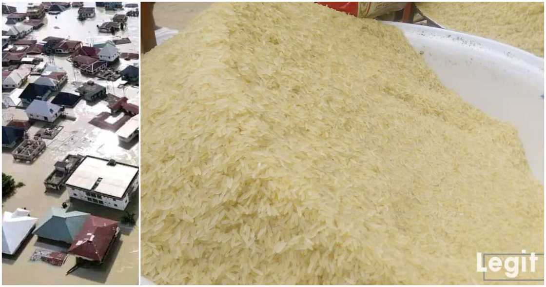 Bag of rice, Bayelsa state, flood in Nigeria Bag of rice, Bayelsa state, flood in Nigeria