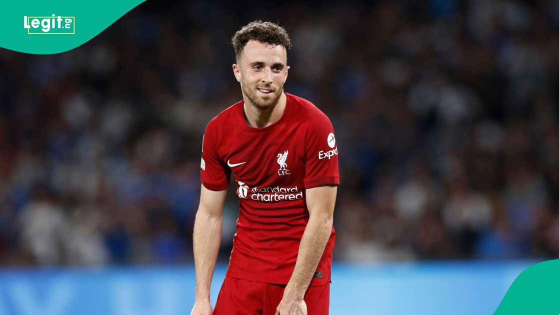 Diogo Jota, Liverpool, Premier League, Anfield, Napoli, UEFA Champions League Diogo Jota, Liverpool, Premier League, Anfield, Napoli, UEFA Champions League