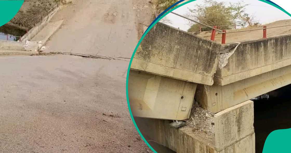 Yadda yan bindiga suka daƙile jigilar mutane a Borno Yadda yan bindiga suka daƙile jigilar mutane a Borno