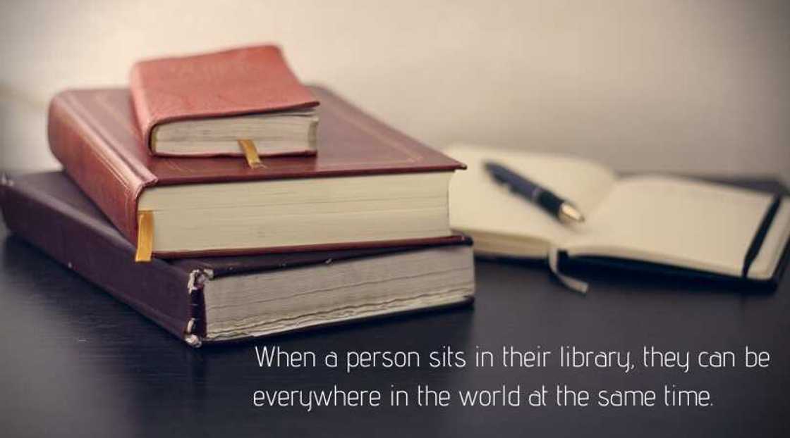 quotes about books and reading quotes about books and reading