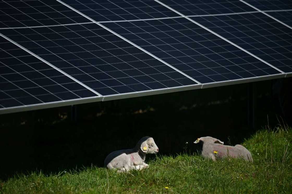 The EU wants to build up its renewable energy to reduce greenhouse gas emmissions The EU wants to build up its renewable energy to reduce greenhouse gas emmissions