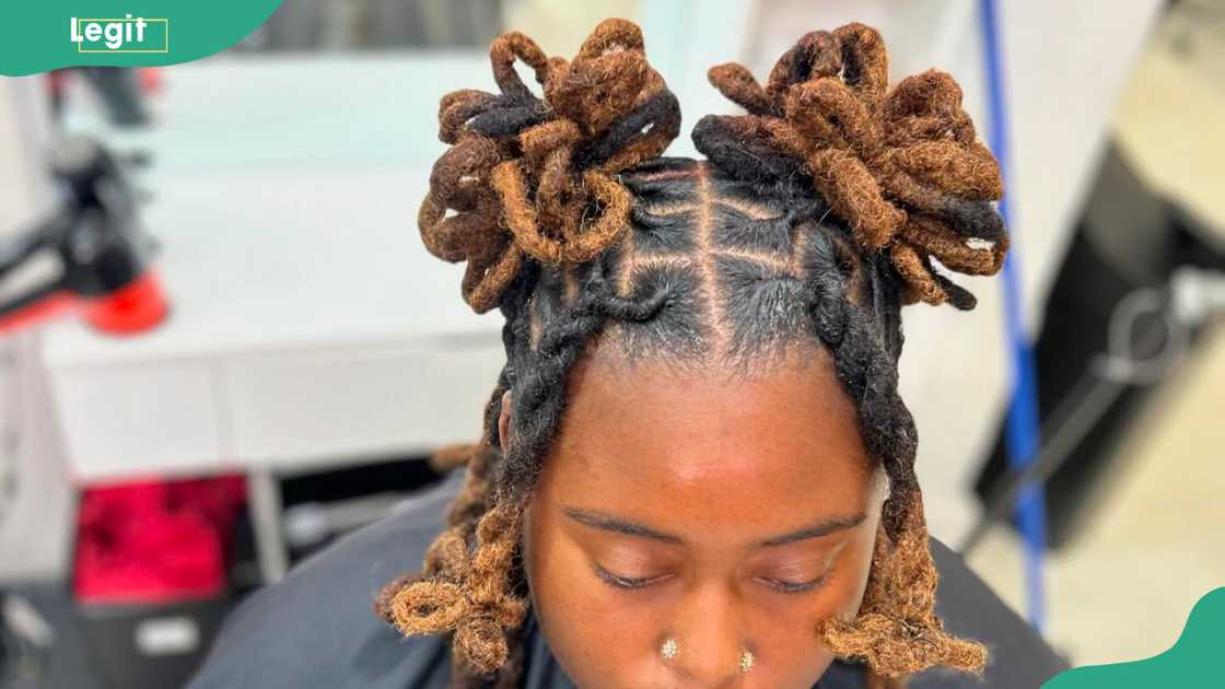 Honey swirl loc buns Honey swirl loc buns