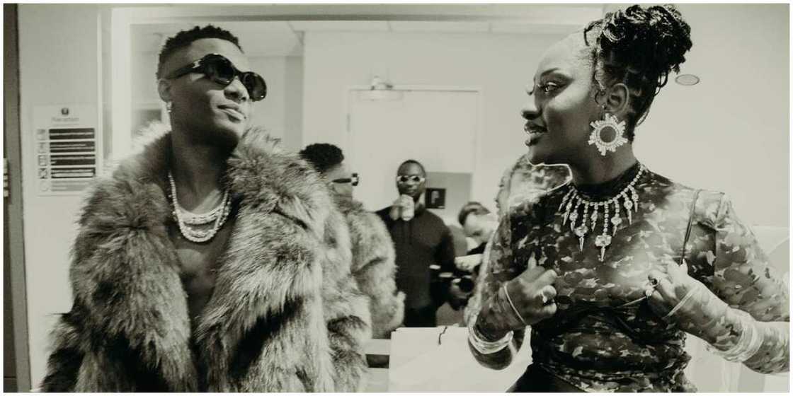 Tems needs to apologize, Fan demands Tems needs to apologize, Fan demands