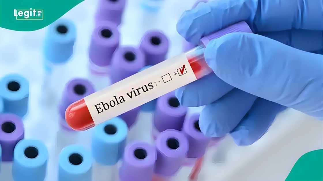 Aproko Doctor cautions Nigerians against dangerous home remedies and misinformation amid the confirmed Ebola case in Abuja. Aproko Doctor cautions Nigerians against dangerous home remedies and misinformation amid the confirmed Ebola case in Abuja.