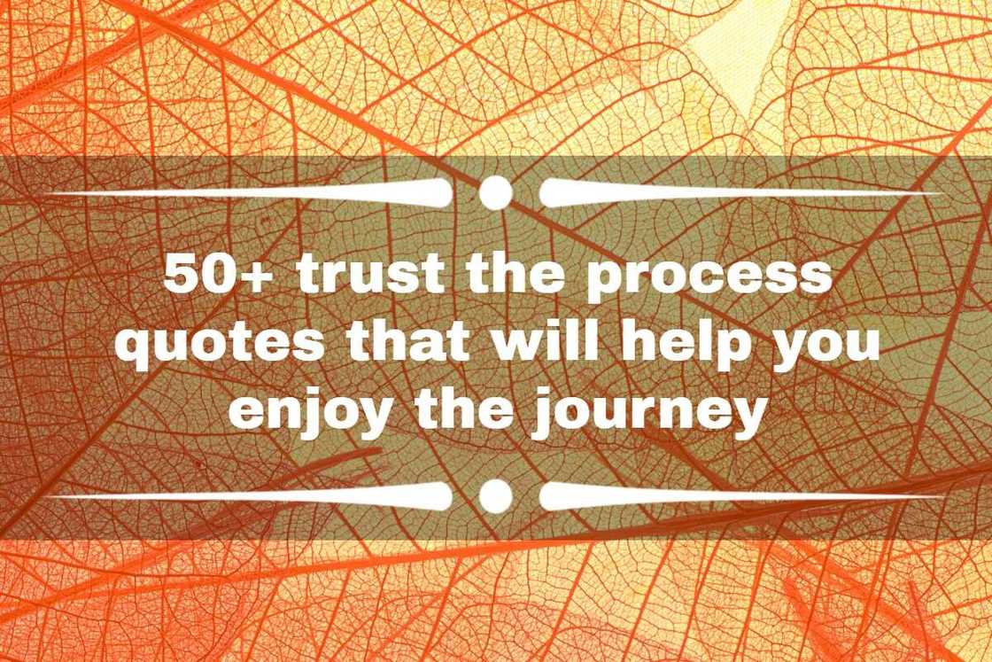 trust the process quotes