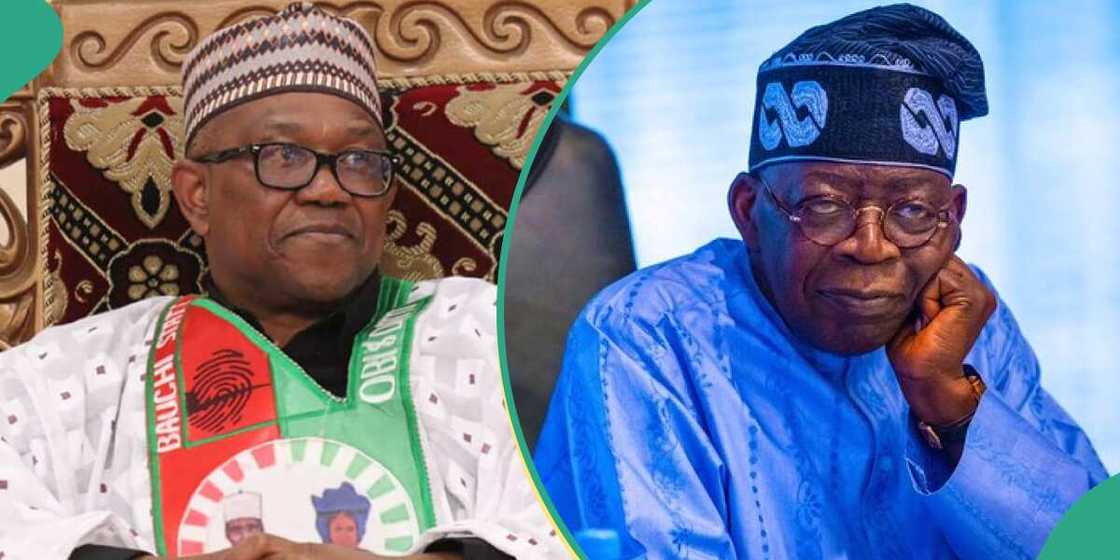 Peter Obi, Bola Tinubu, APC, LP, 2023 election, tribunal Peter Obi, Bola Tinubu, APC, LP, 2023 election, tribunal