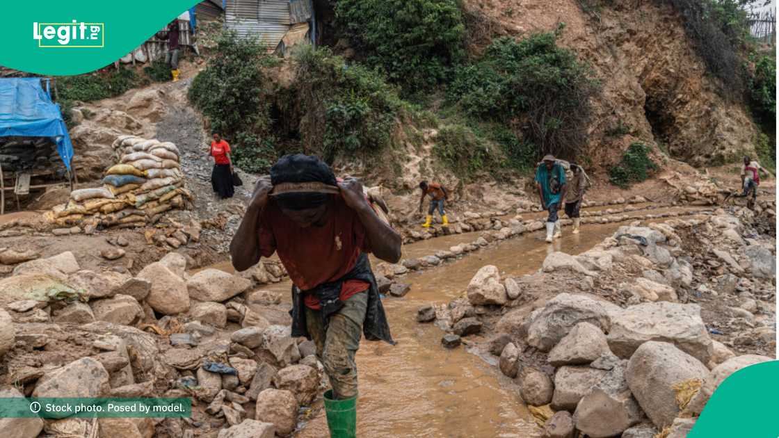 Illegal miners dead after being trapped for months Illegal miners dead after being trapped for months