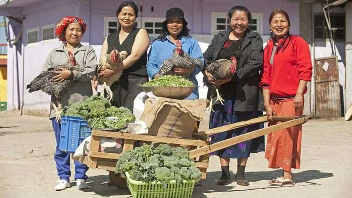 Hotunan yadda ake rayuwa a gidan mutumin da ya fi kowa iyalai a duniya Hotunan yadda ake rayuwa a gidan mutumin da ya fi kowa iyalai a duniya