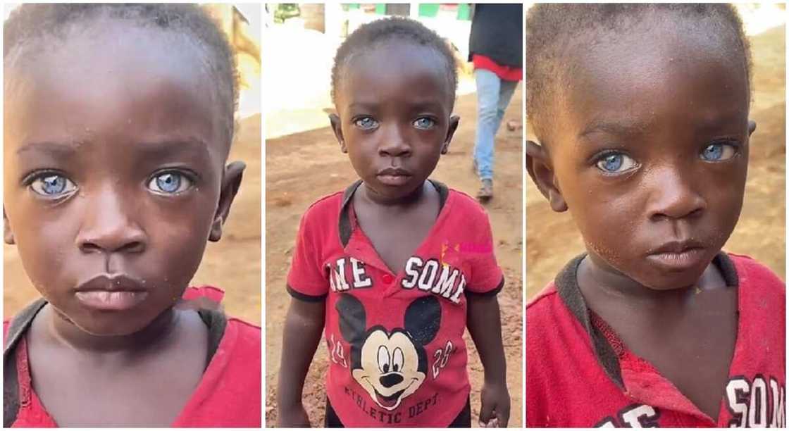 Photos of a boy with rare blue eyes. Photos of a boy with rare blue eyes.